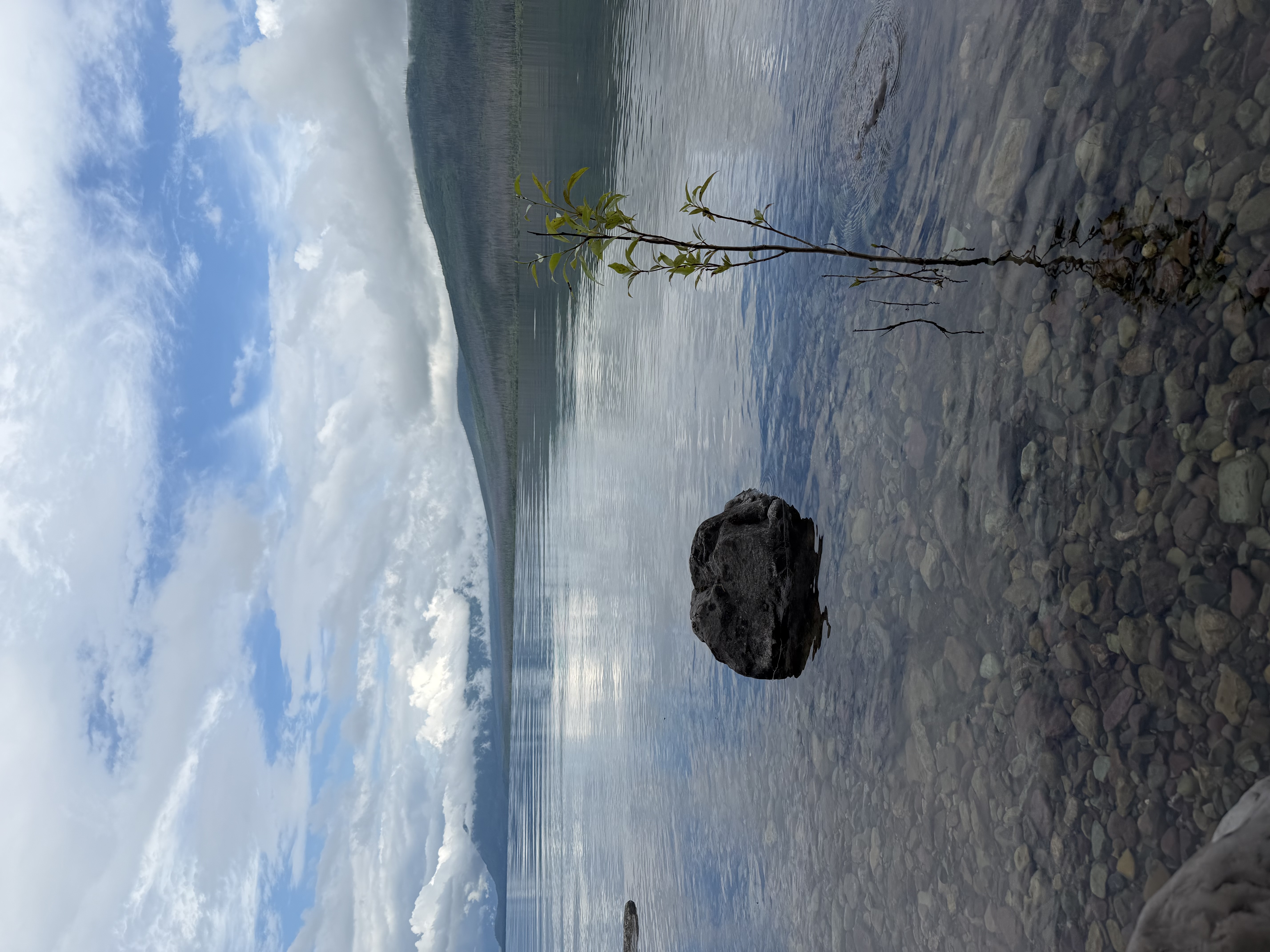 trip photo