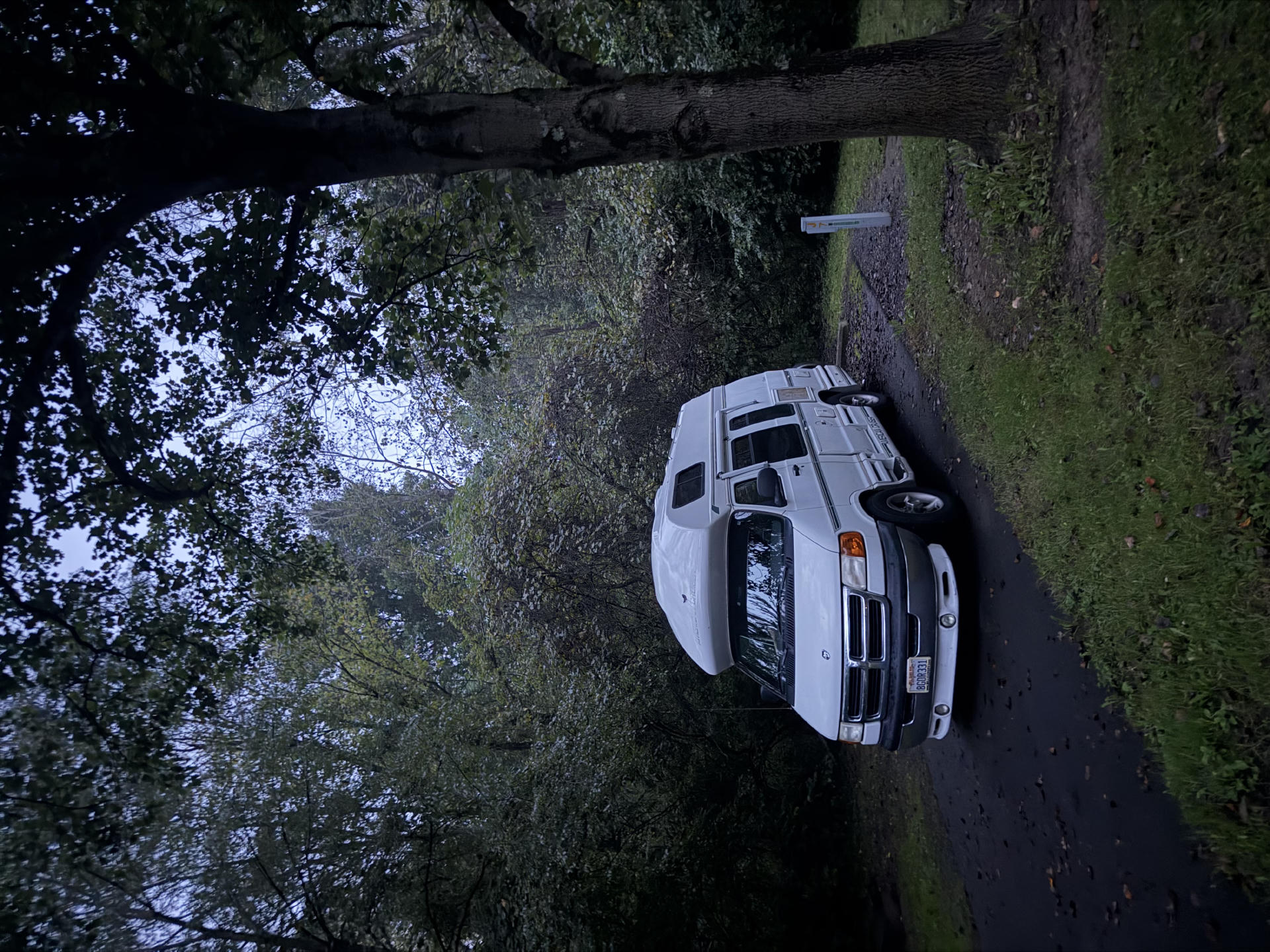 trip photo