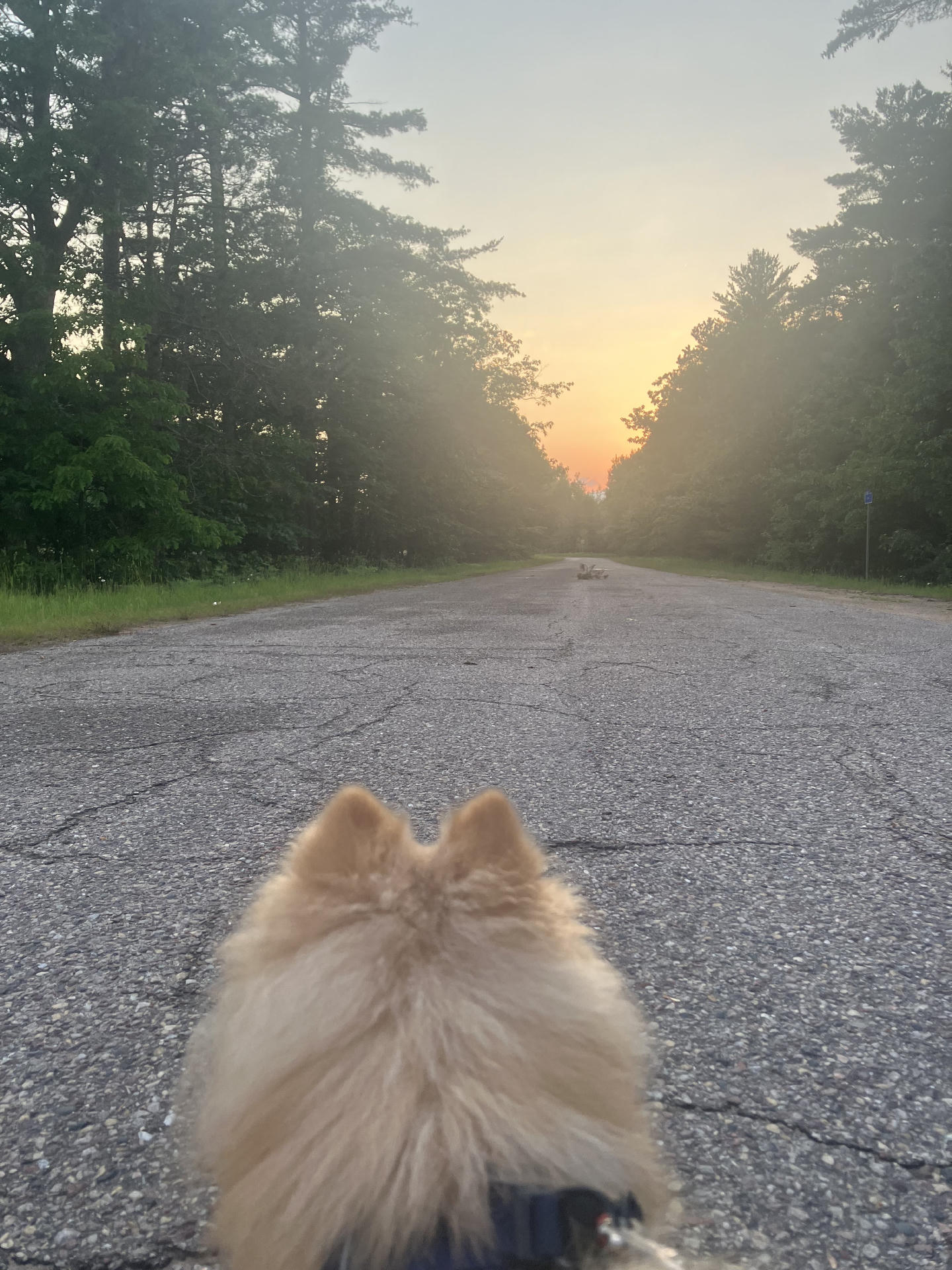 trip photo