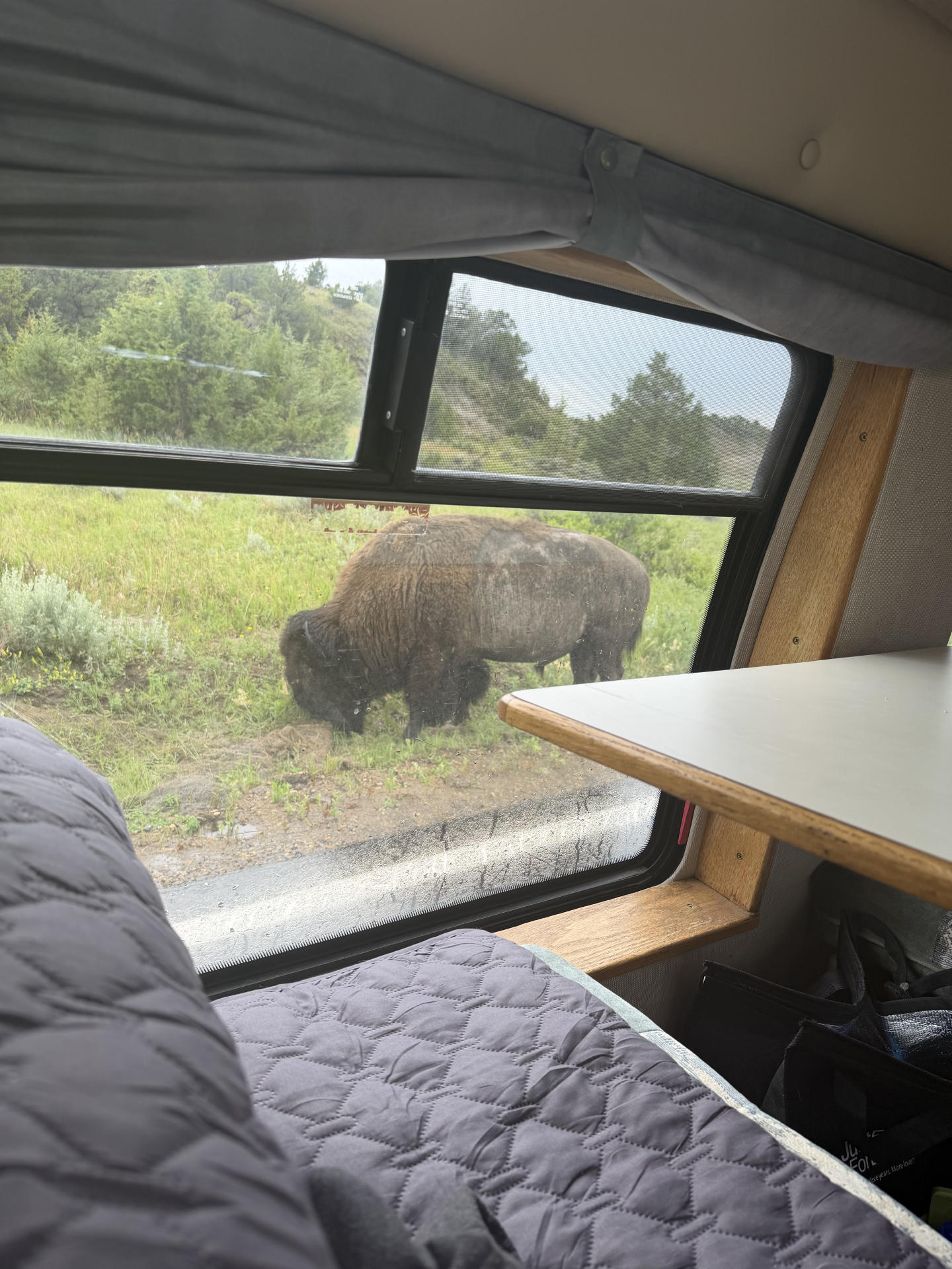 trip photo