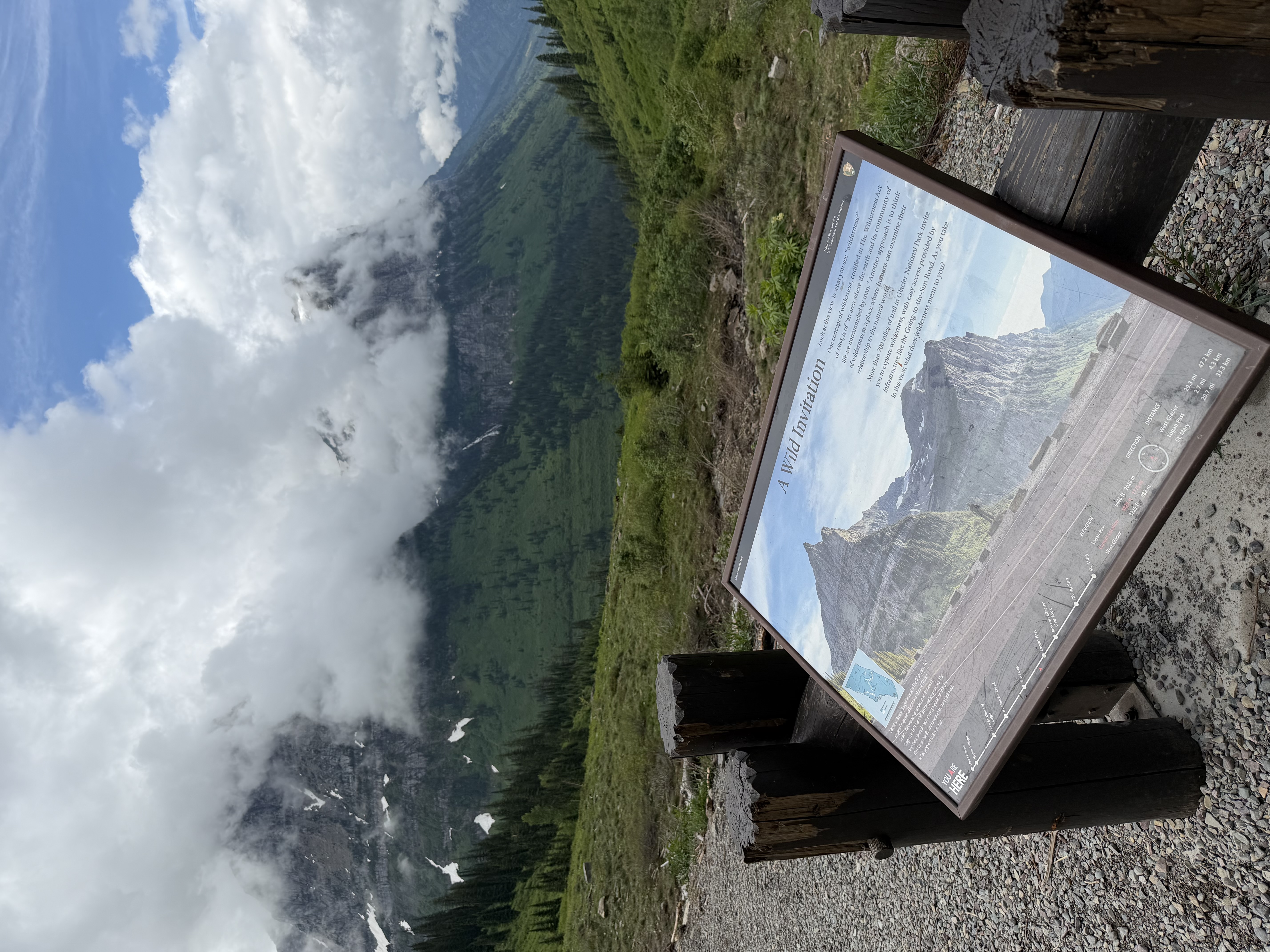 trip photo