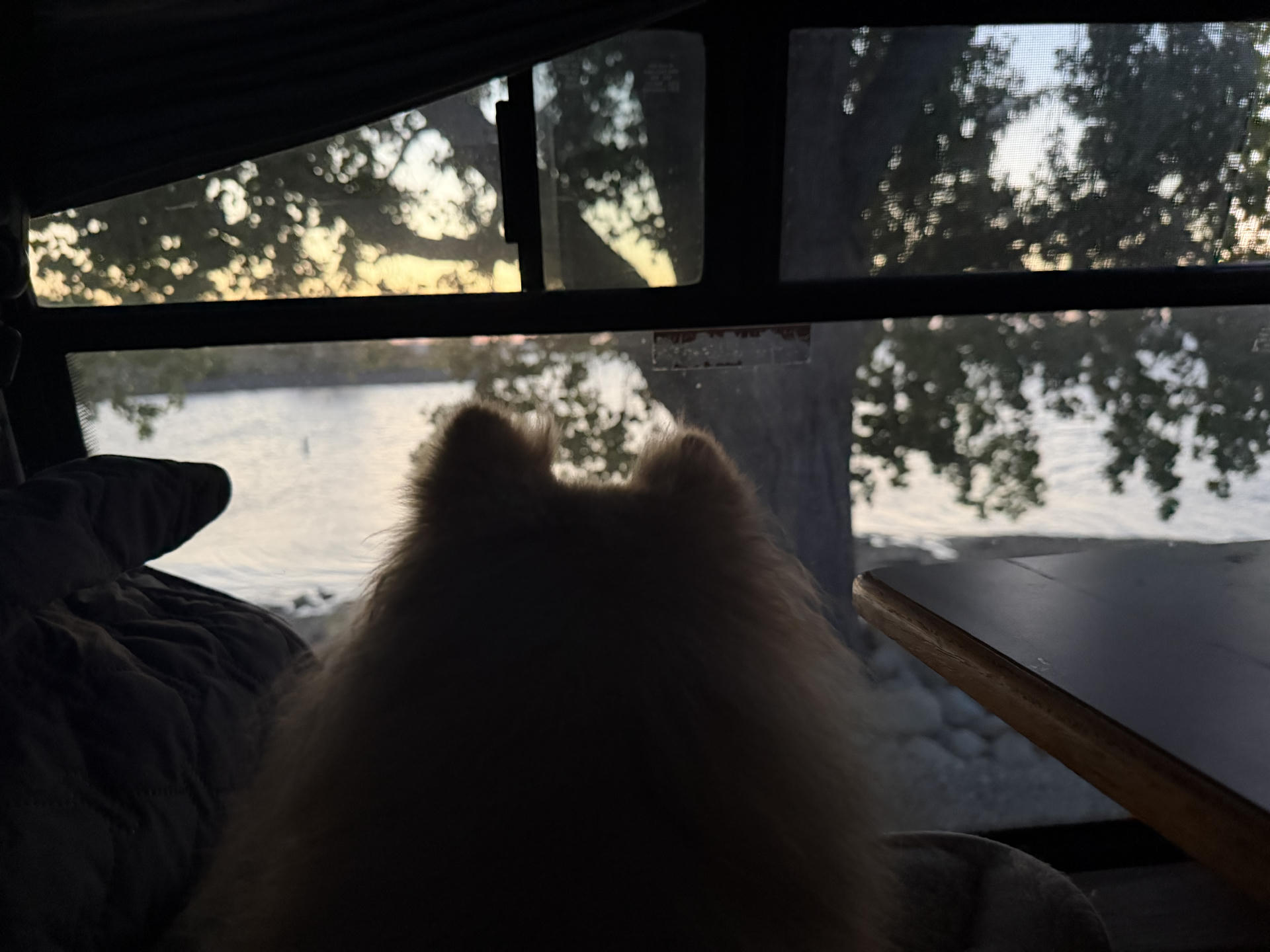 trip photo