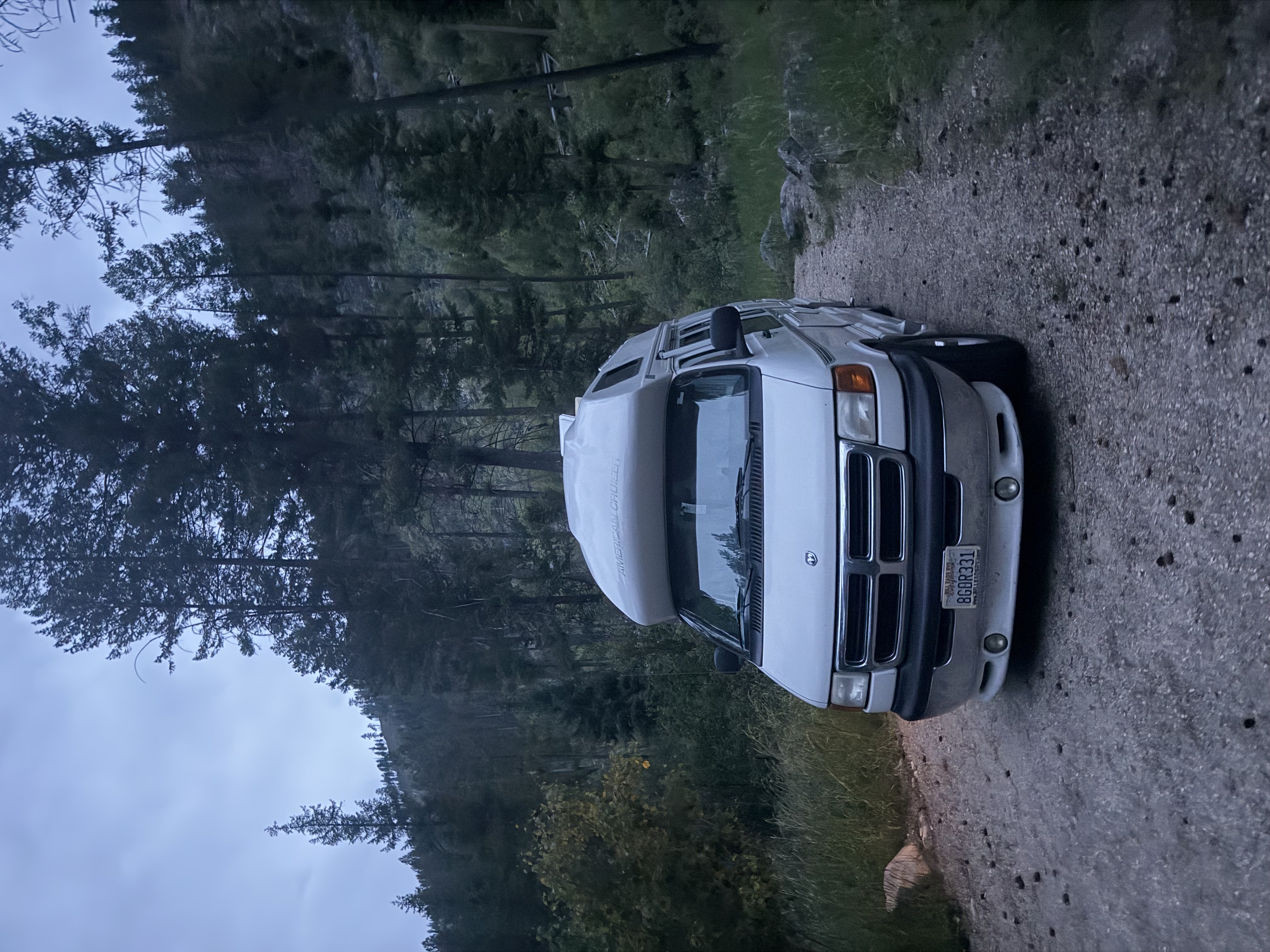 trip photo