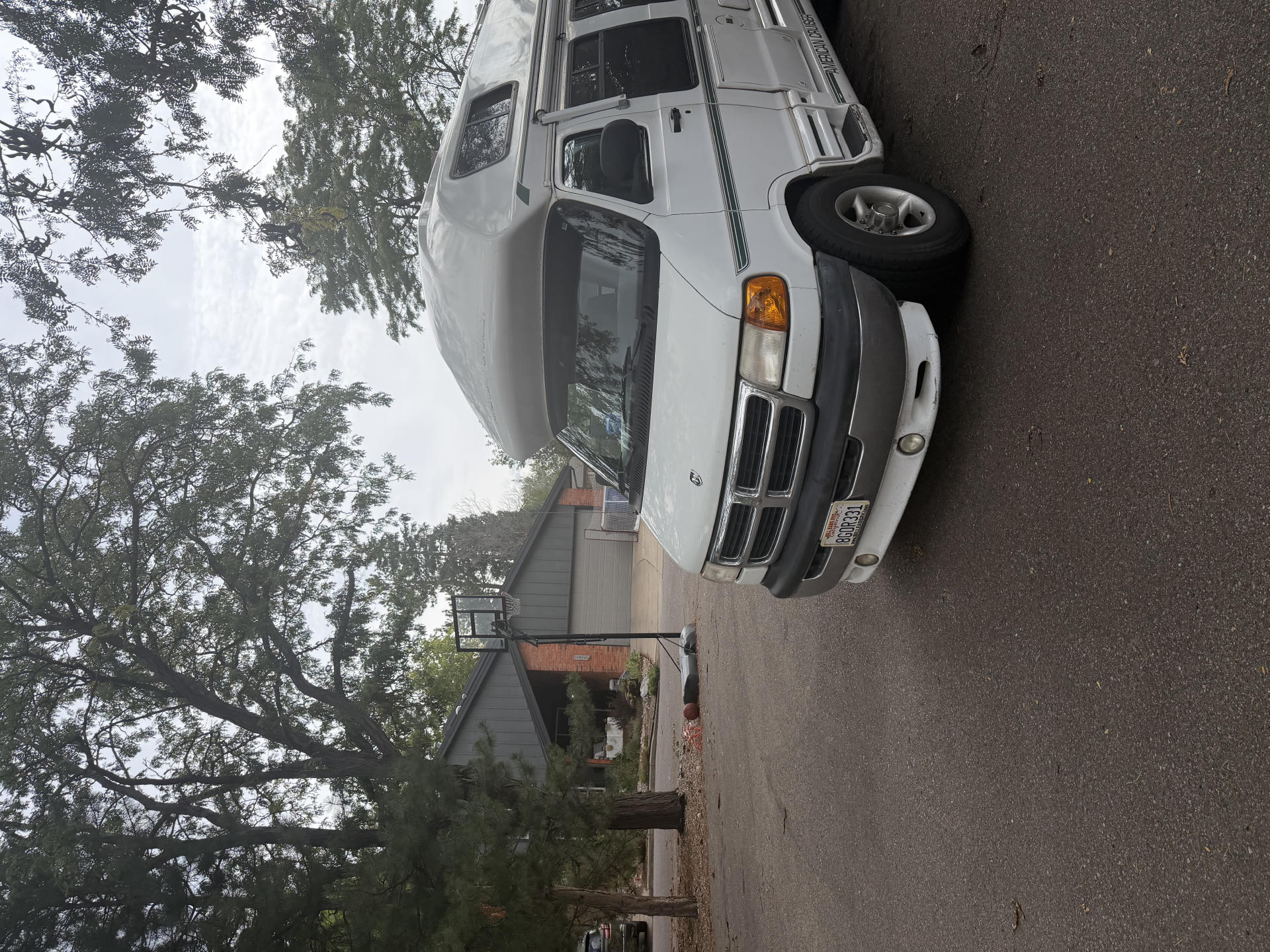 trip photo
