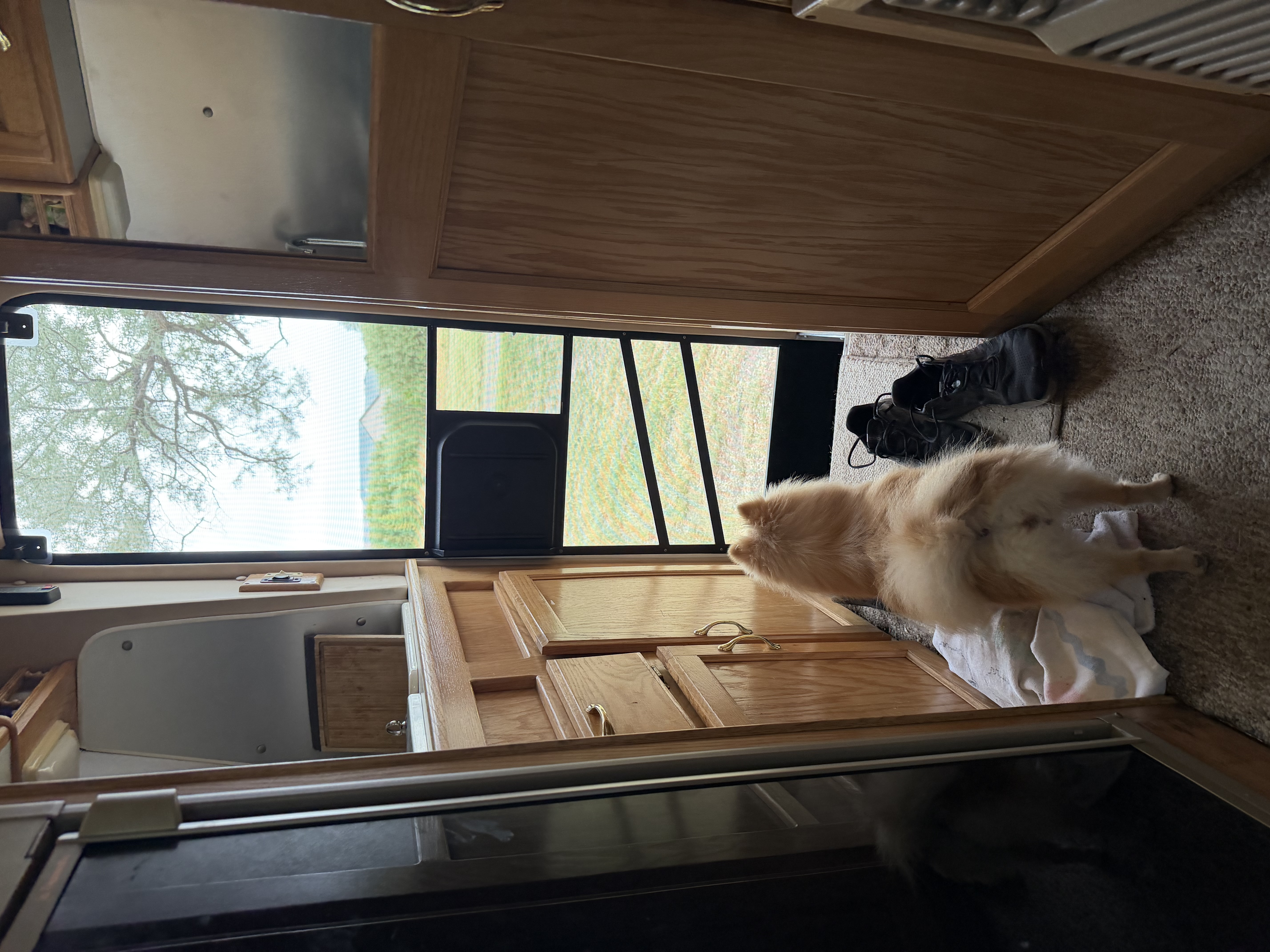 trip photo