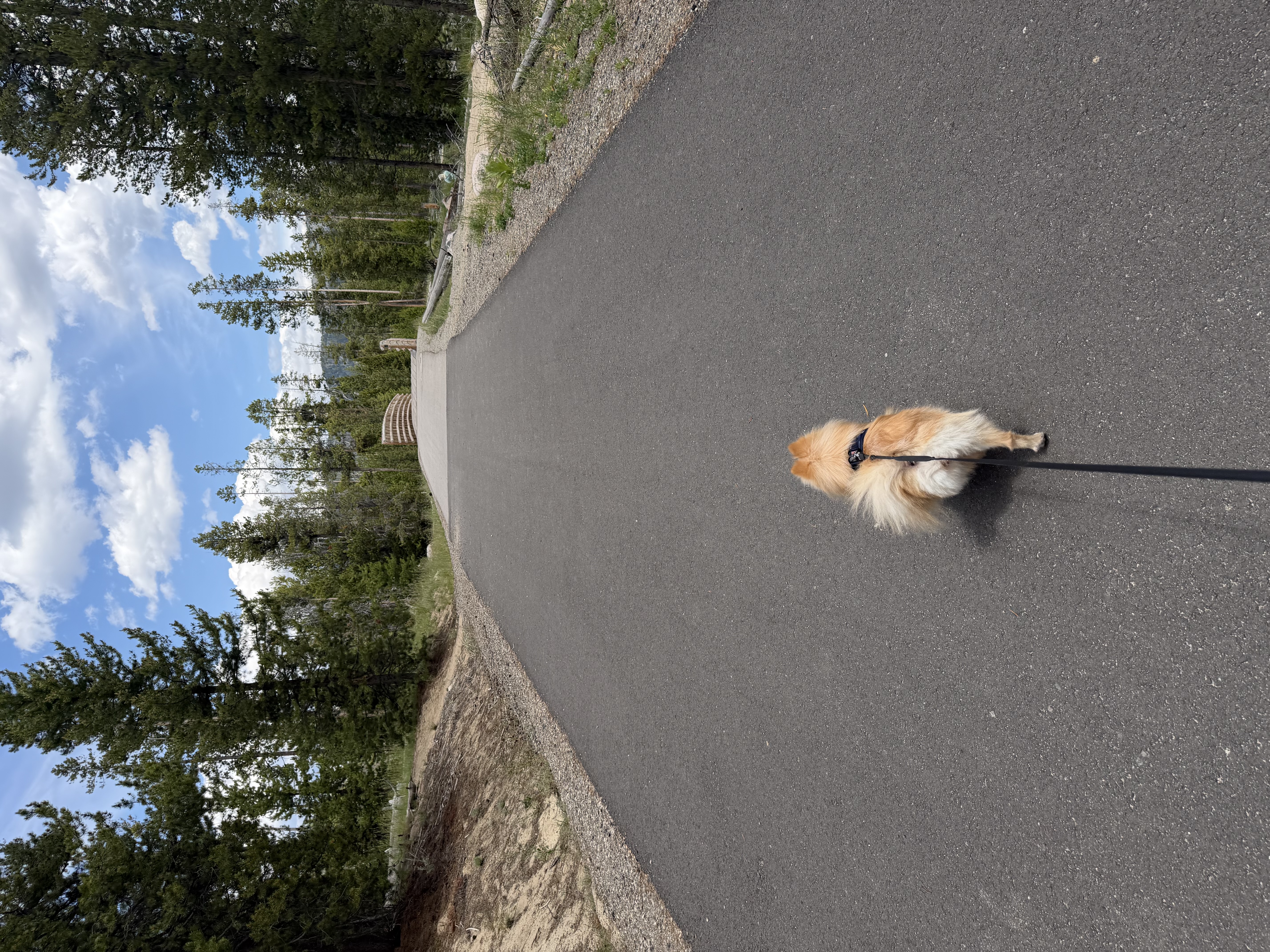 trip photo