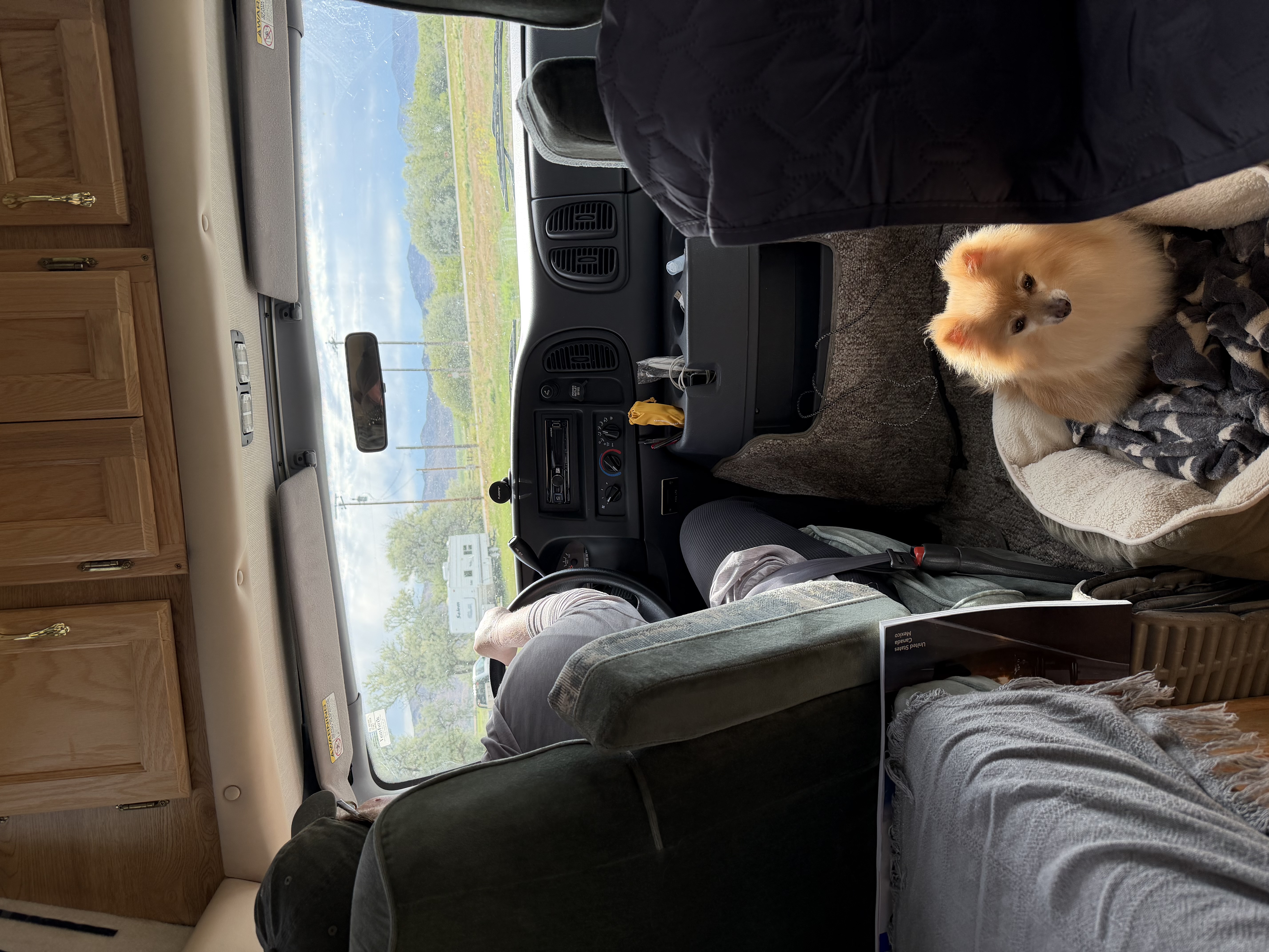 trip photo