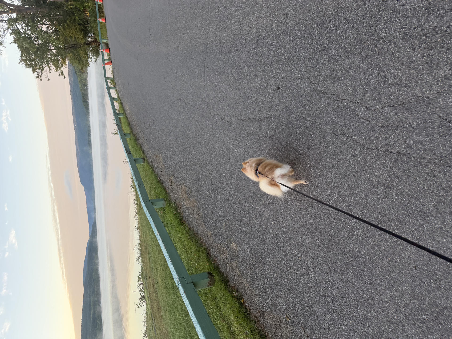 trip photo