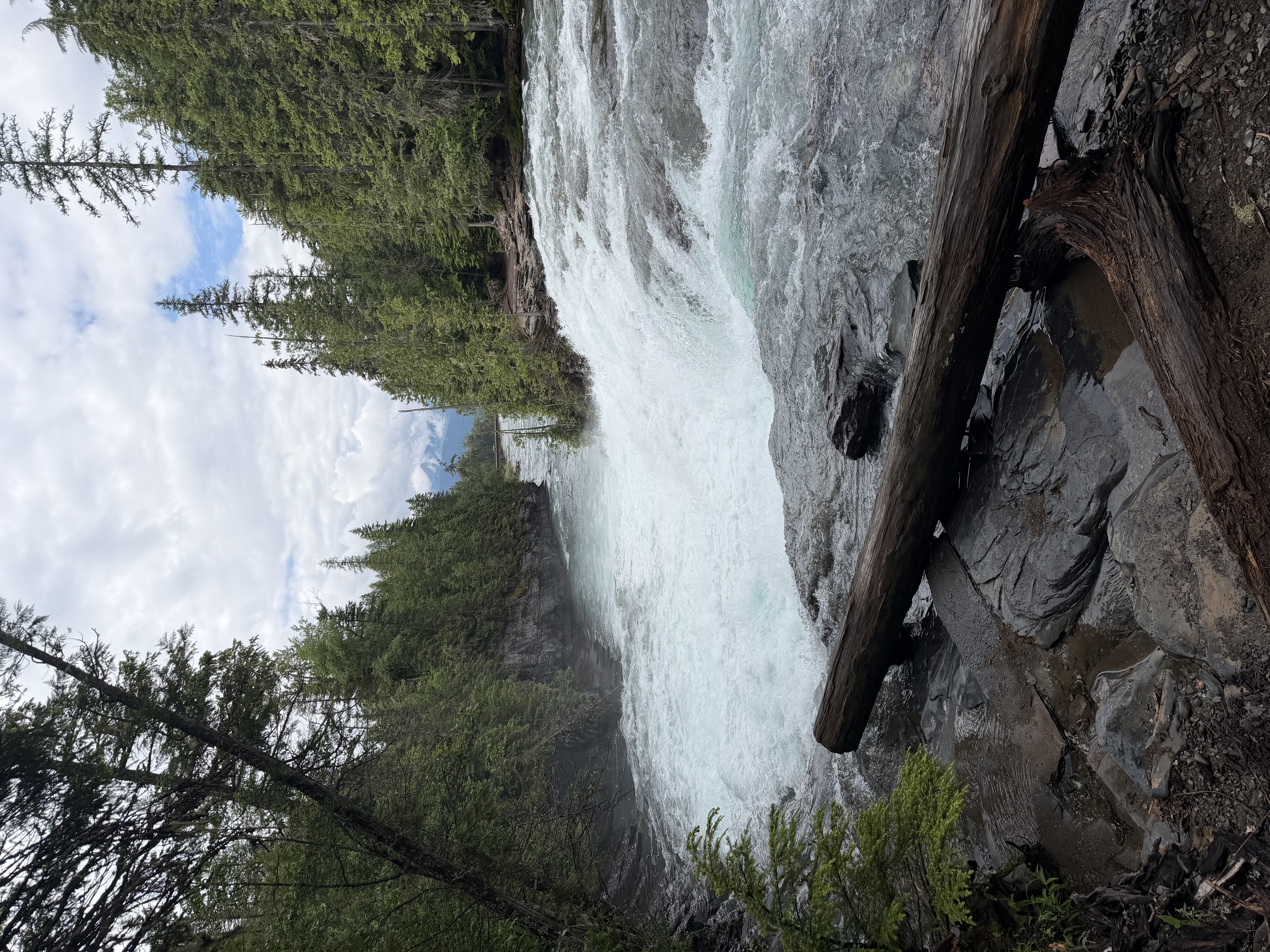 trip photo