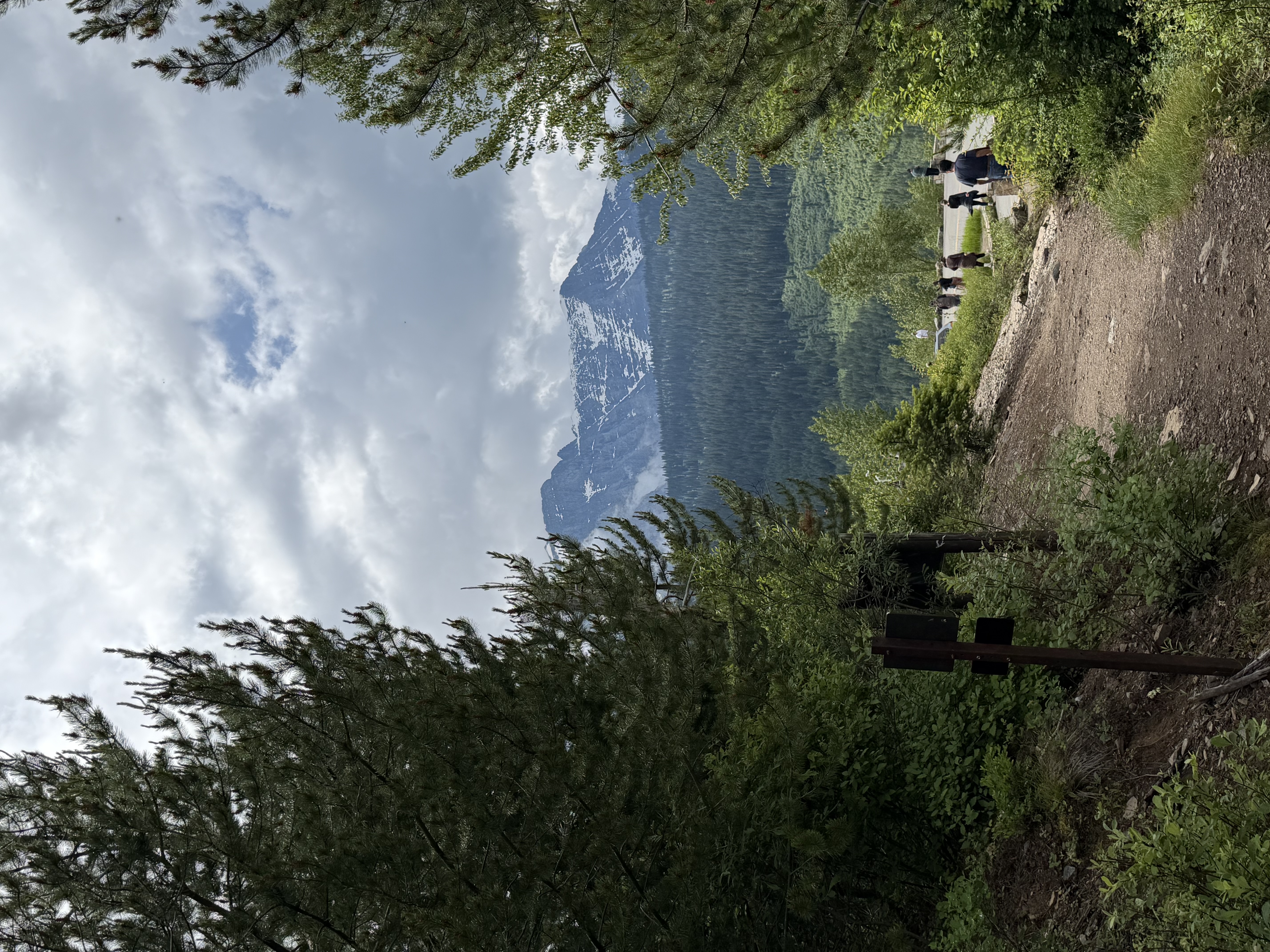 trip photo