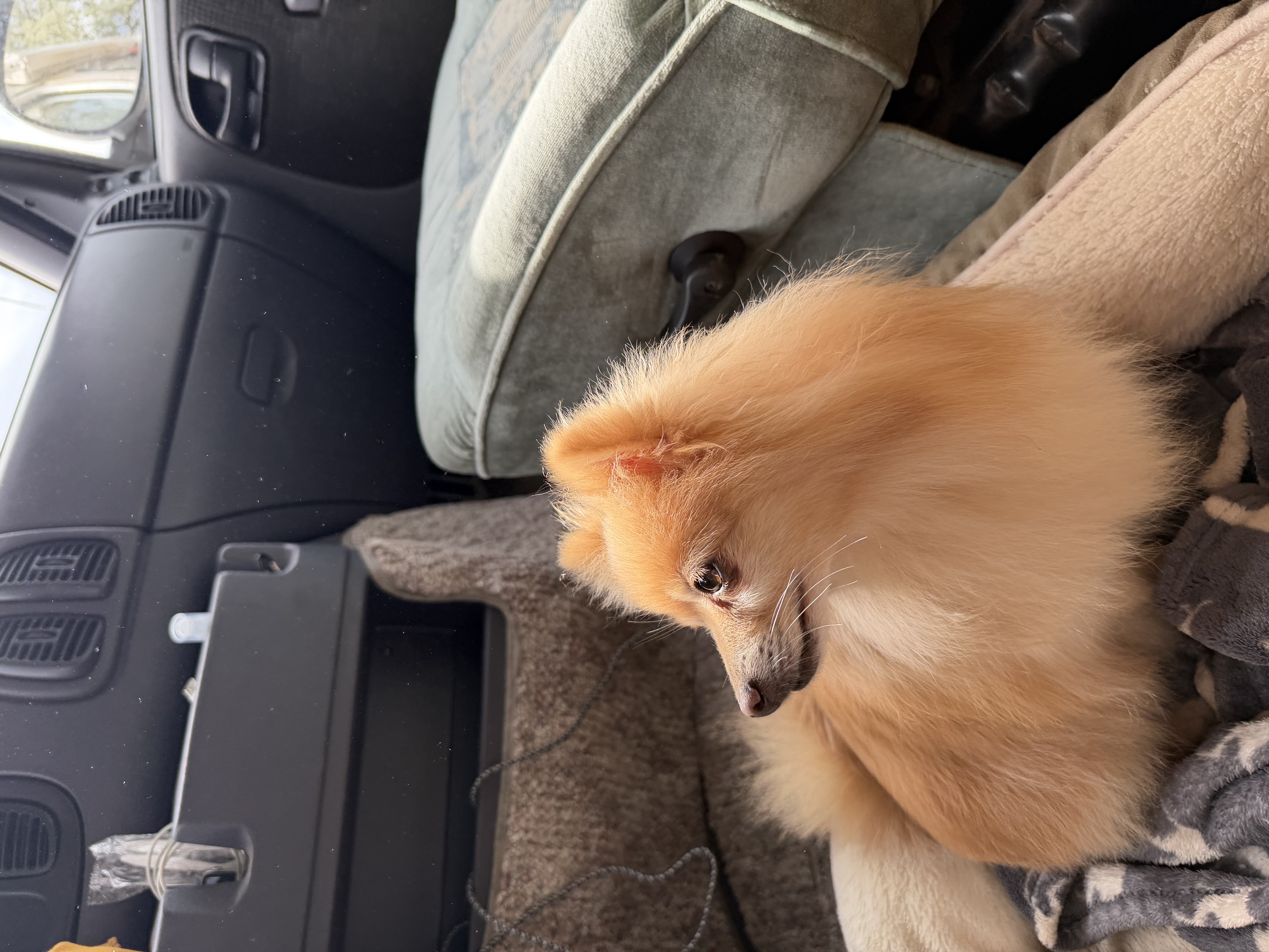 trip photo
