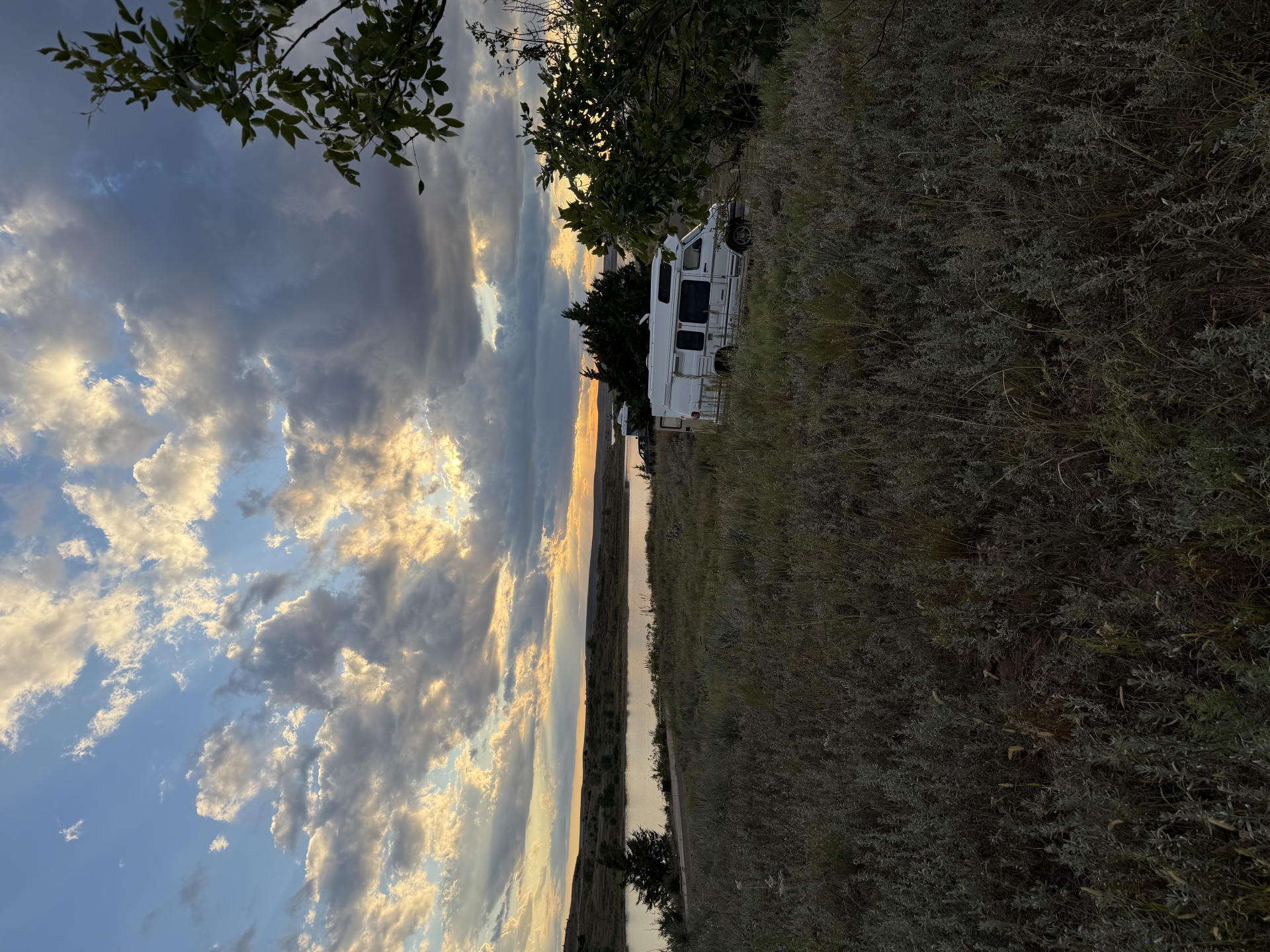 trip photo